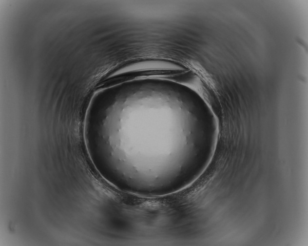 X0000091490441200708231425