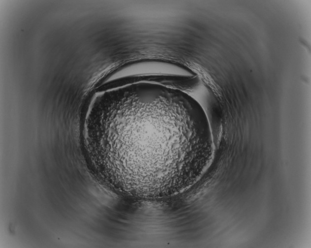 X0000091490442200708231425