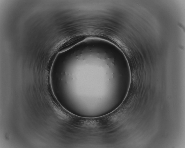X0000091490445200708231425