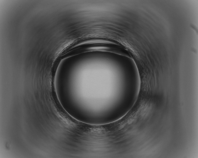 X0000091490446200708231425