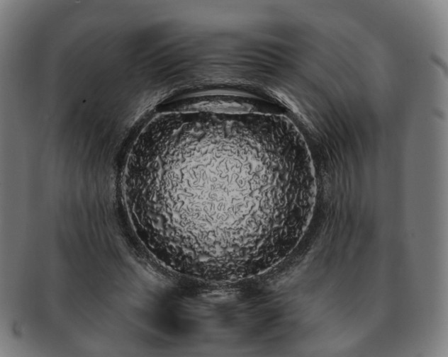 X0000091490447200708231425