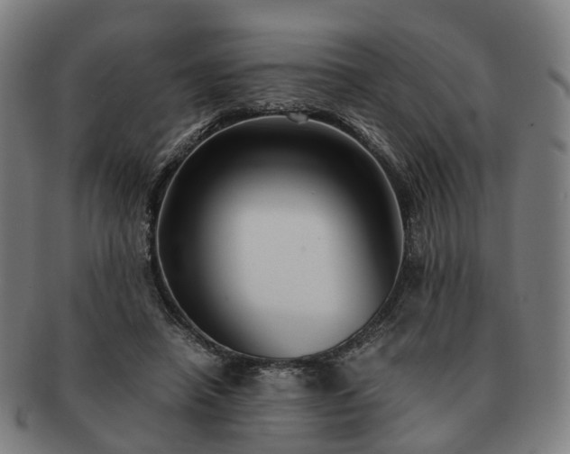 X0000091490450200708231425