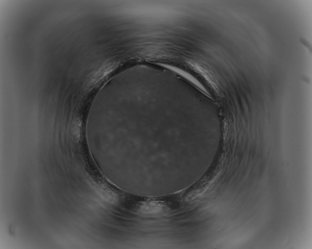 X0000091490451200708231425