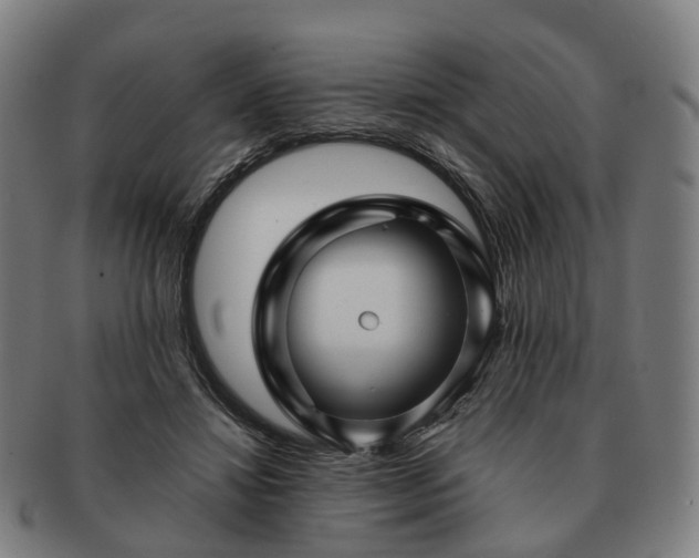 X0000091490452200708231425