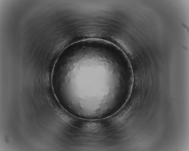 X0000091490453200708231425