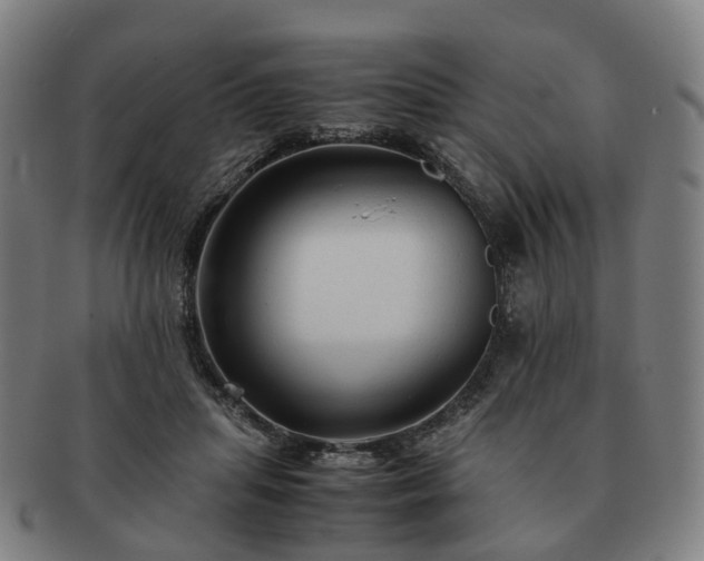 X0000091490455200708231425