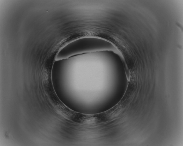 X0000091490456200708231425