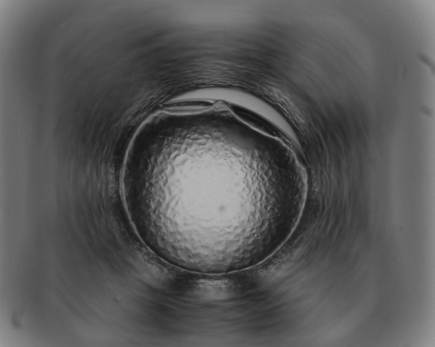 X0000091490457200708231425