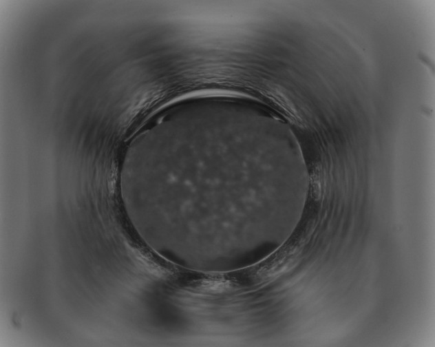 X0000091490458200708231425