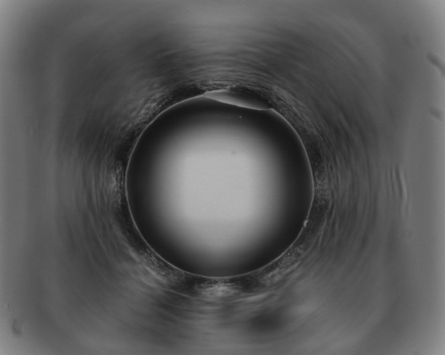 X0000091490460200708231425