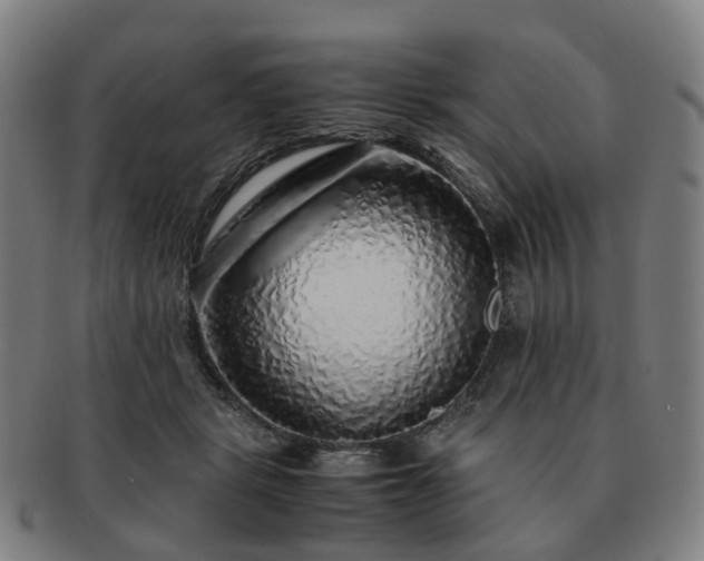 X0000091490461200708231425