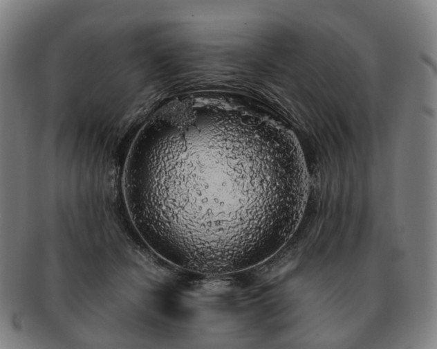 X0000091490462200708231425