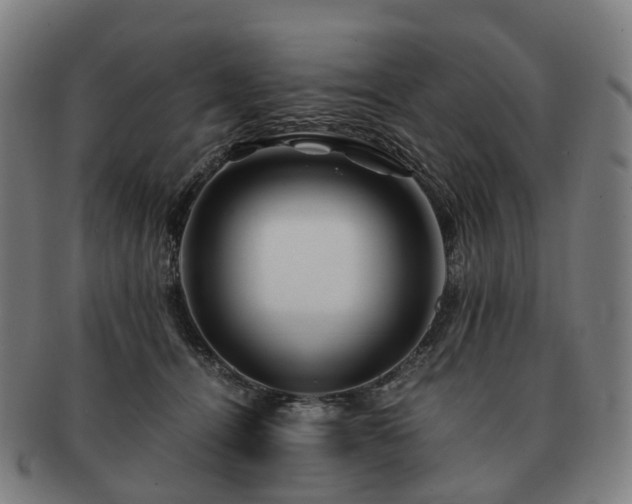 X0000091490464200708231426