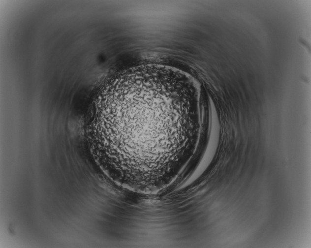 X0000091490466200708231426