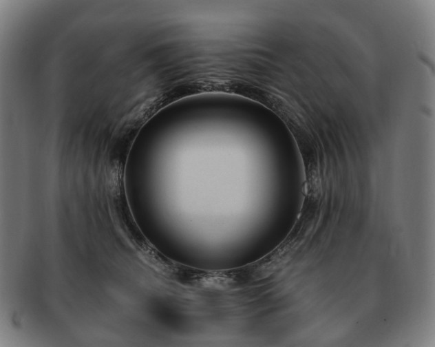 X0000091490468200708231426