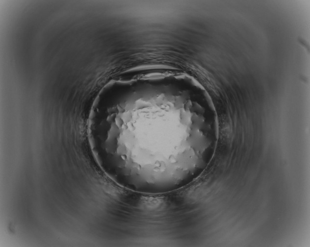 X0000091490469200708231426