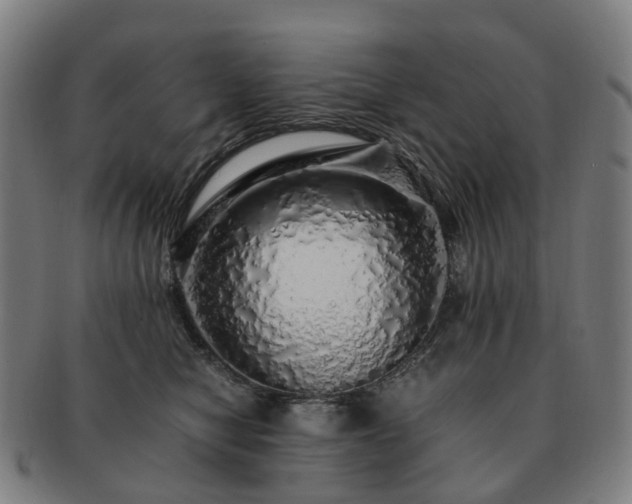 X0000091490470200708231426