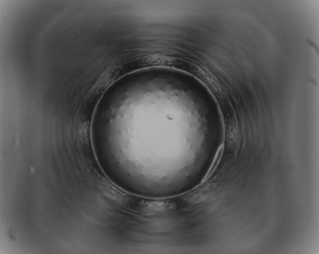 X0000091490473200708231426