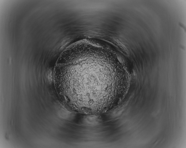 X0000091490479200708231426