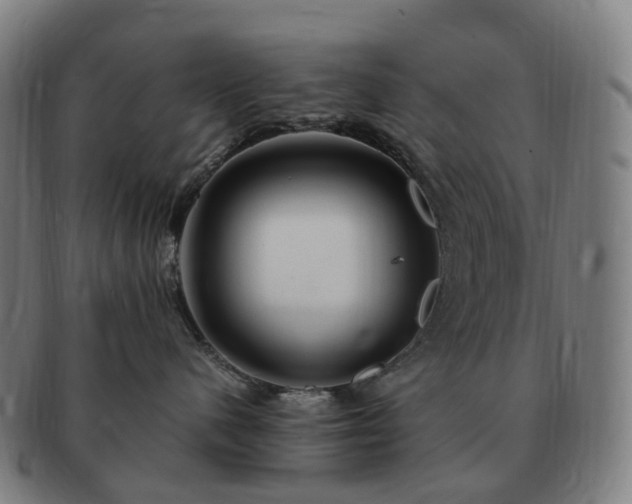 X0000091490480200708231426