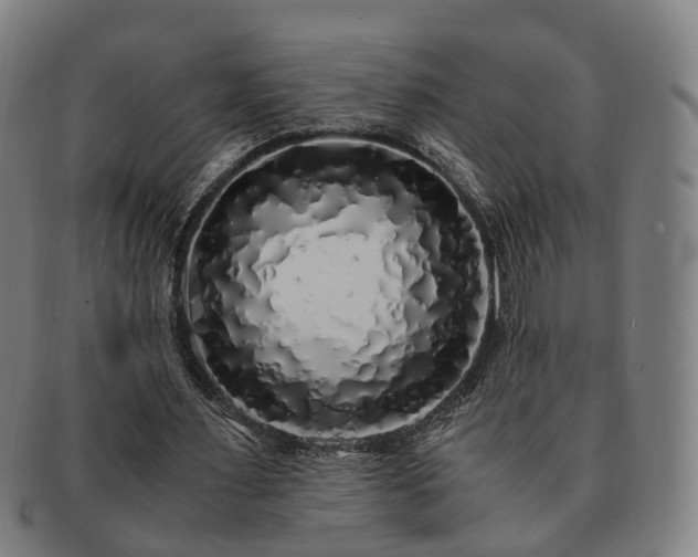 X0000091490483200708231425