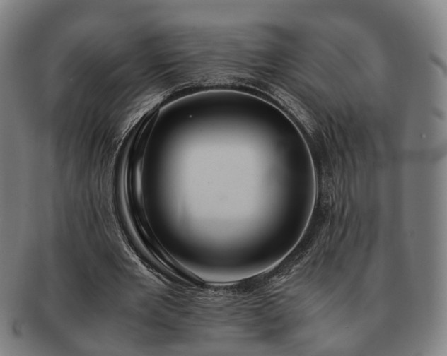 X0000091490485200708231425