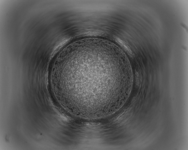 X0000091490486200708231425
