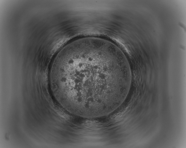 X0000091490487200708231425
