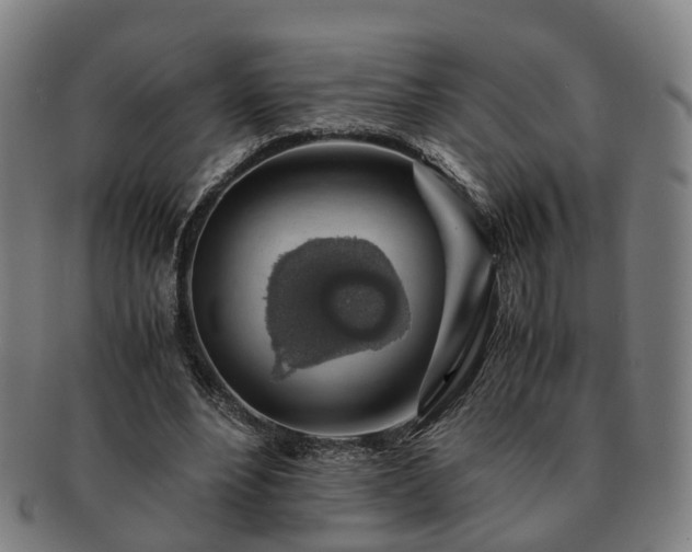 X0000091490488200708231425