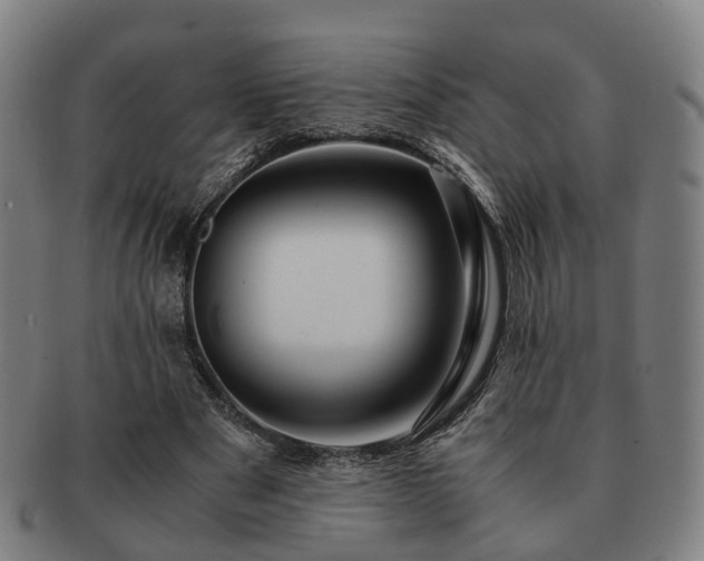 X0000091490489200708231425