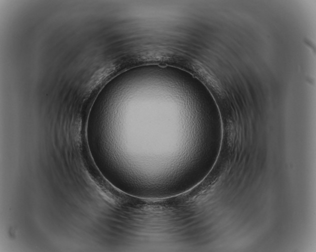 X0000091490490200708231425