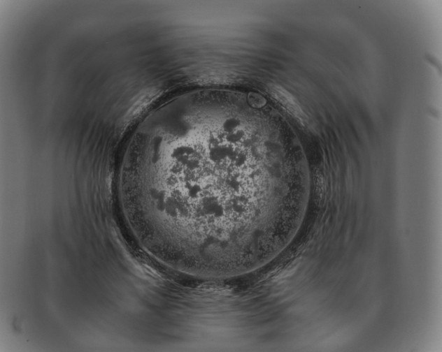 X0000091490491200708231425