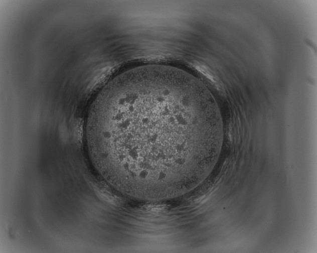 X0000091490495200708231425