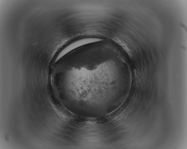 X0000091490496200708231425