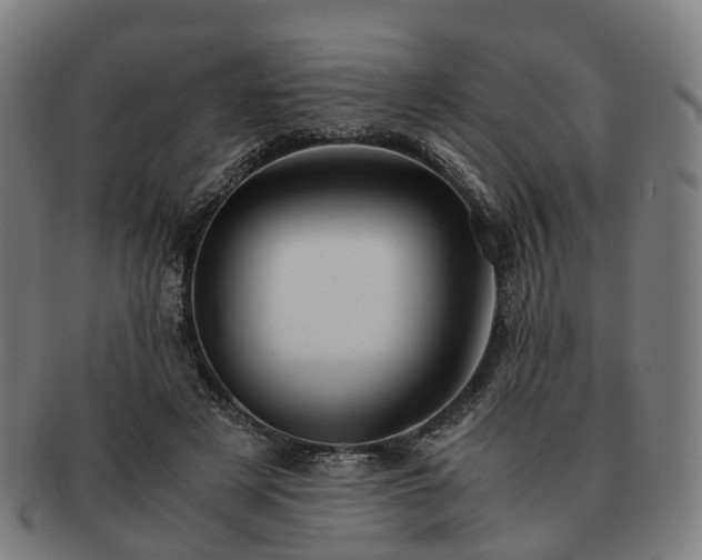 X0000091490497200708231425