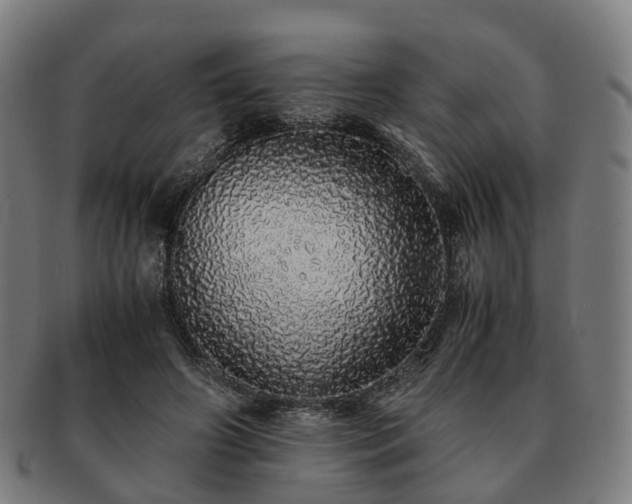 X0000091490498200708231425