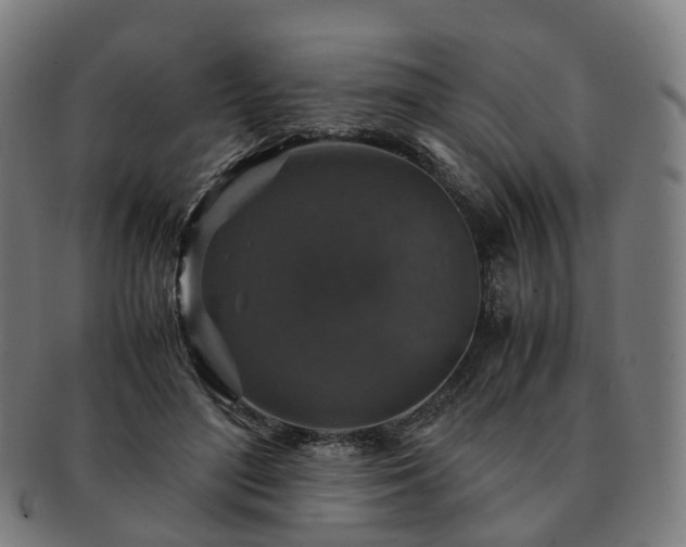 X0000091490500200708231425