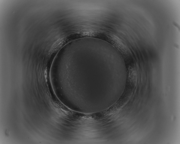 X0000091490502200708231425