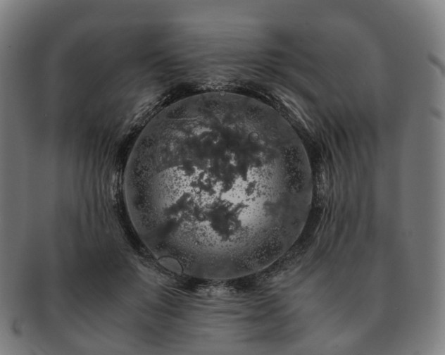X0000091490503200708231425