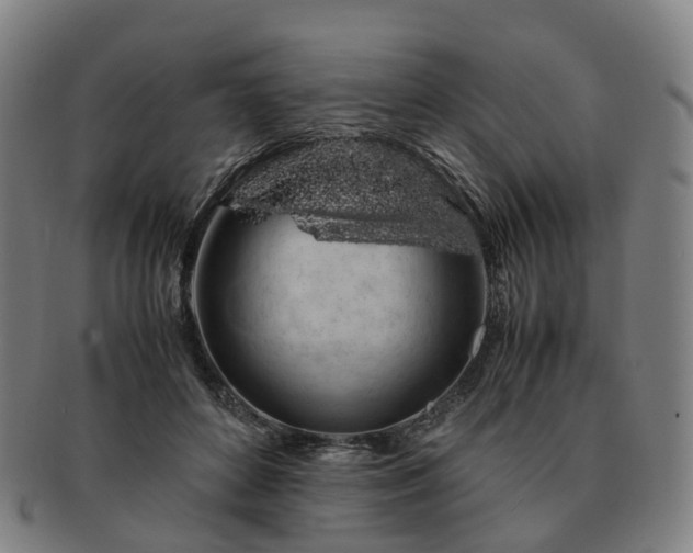 X0000091490504200708231425