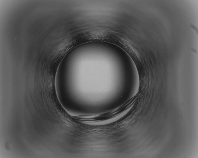 X0000091490505200708231425