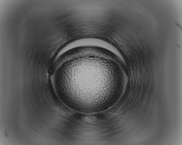 X0000091490508200708231425