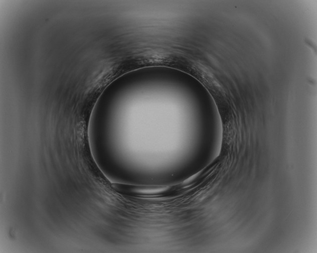 X0000091490509200708231425
