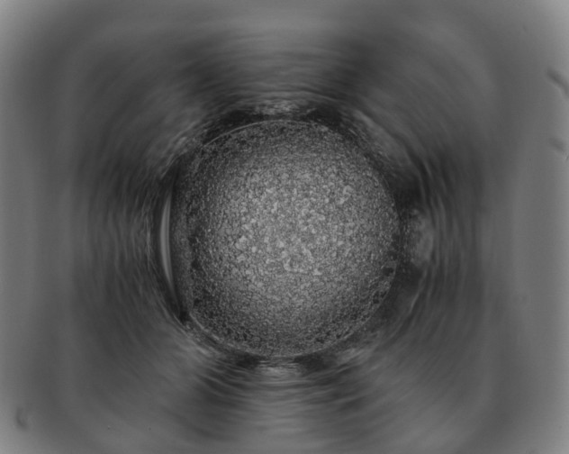 X0000091490510200708231425