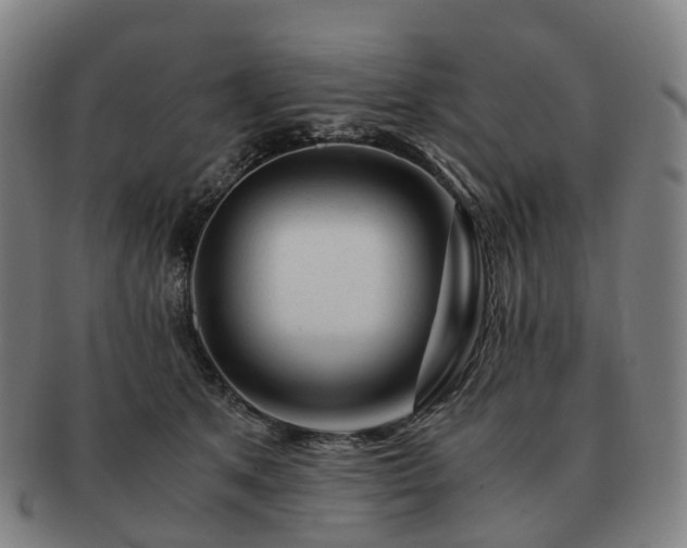 X0000091490513200708231425