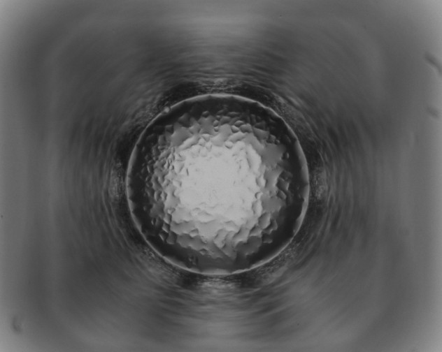 X0000091490515200708231425
