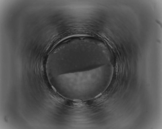 X0000091490516200708231425