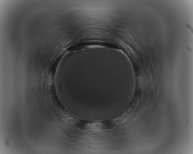 X0000091490517200708231425