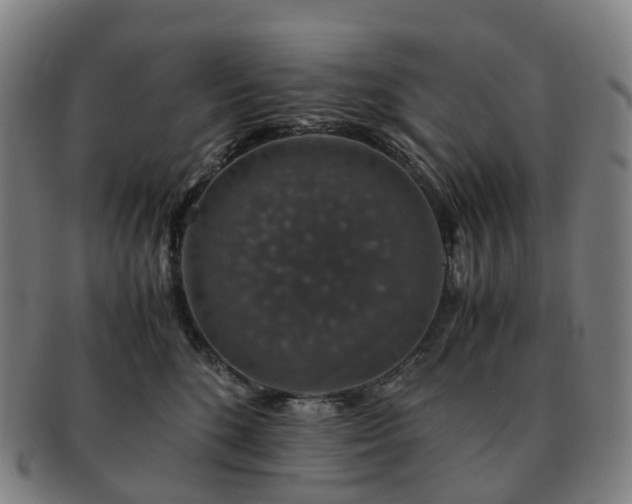 X0000091490520200708231425