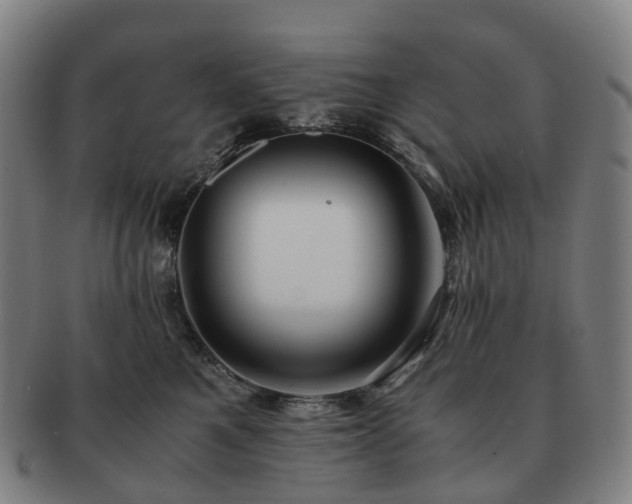 X0000091490521200708231425